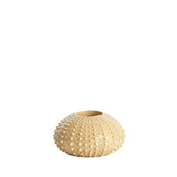 Light & Living Sea Urchin Glass Candle Holder