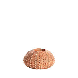 Light & Living Sea Urchin Glass Candle Holder