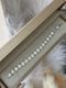 Women's Steel Bracelet with Zircon