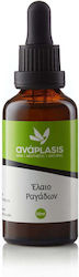 Anaplasis Λάδι 50ml Anaplasis Λάδι 50ml