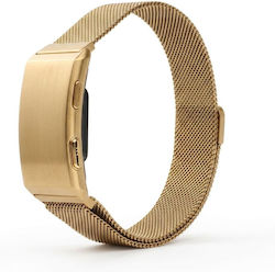 Titmo Loop I-110 Χρυσό