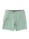 Men's Swimwear Bermuda Green Aloe