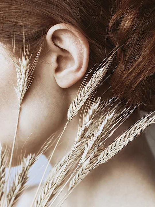 Poster Wheat Pst25120 40cm X 50cm Κορνίζα Καφέ ...