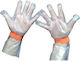 Beauty Salon Safety Gloves 2 Pieces