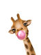 Παιδική Αφίσα Little Giraffe 50x40εκ.