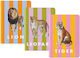 Ohh Deer Set 3 Caiete B6 (Desene și Modele Diverse)