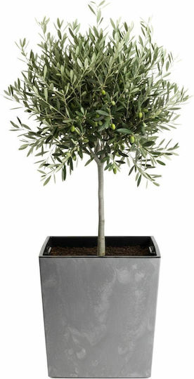 HowHomely Beton Blumentopf Grau 41cm