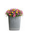 HowHomely Concrete Recycling Gray Flower Pot with Saucer 30x30cm