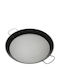 Kitchen Craft Малък Тиган от Стомана с Незалепващо Покритие 40cm