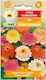 Scabiosa Zinnie Mix 1g