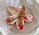 Ecarla Perlen Blumen Haarspangen-Klammer Melange Sp345
