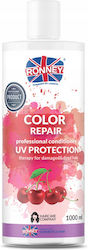 Ronney Color Repair Cherry Uv Protection Conditioner Dyed Hair 1000ml Ronney Color Repair Cherry Uv Protection Conditioner Dyed Hair 1000ml