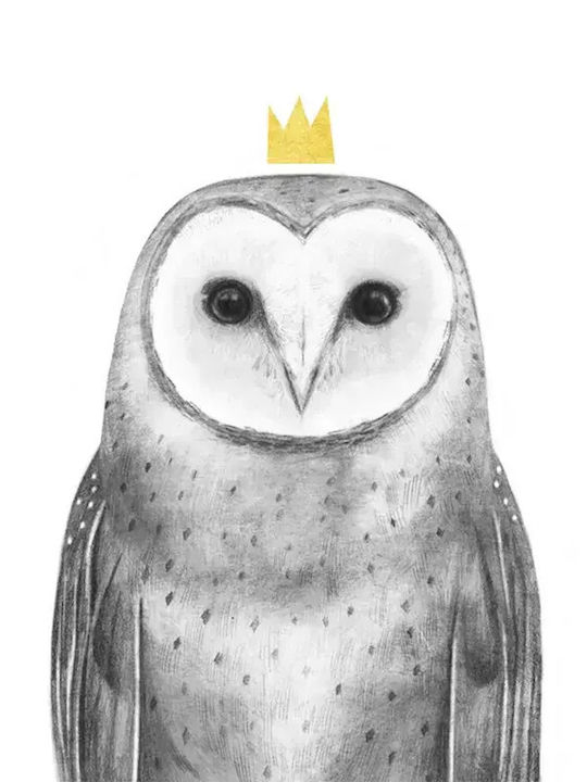 Παιδική Αφίσα Queen Owl 50x40εκ.