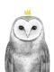 Παιδική Αφίσα Queen Owl 50x40εκ.