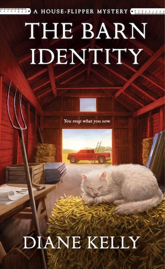 Barn Identity - St Martin's Press - Paperback / Softback