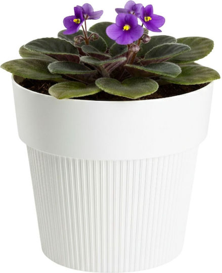 HowHomely Flower Pot Cream 12.7cm