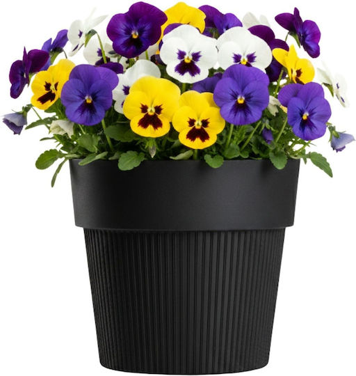 HowHomely Blumentopf Schwarz 12,7 cm