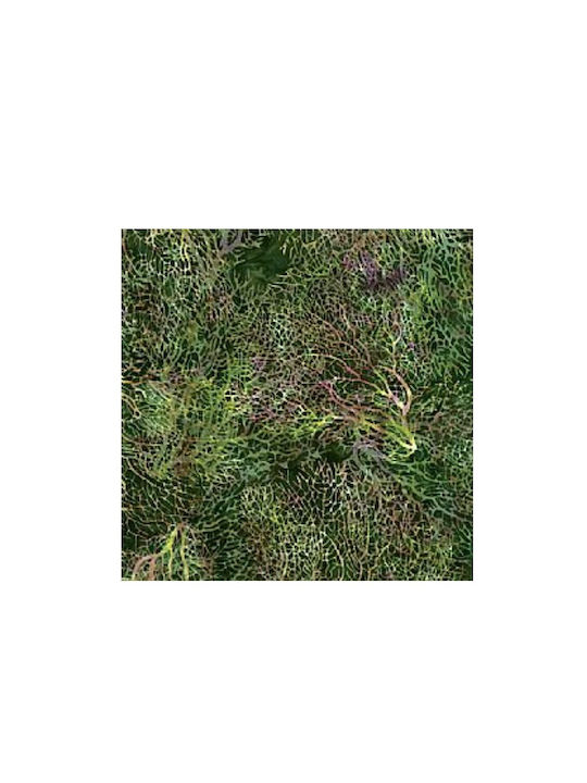 Oxygen Decorative Pillow Case Green Vein Tree Green 45x45cm