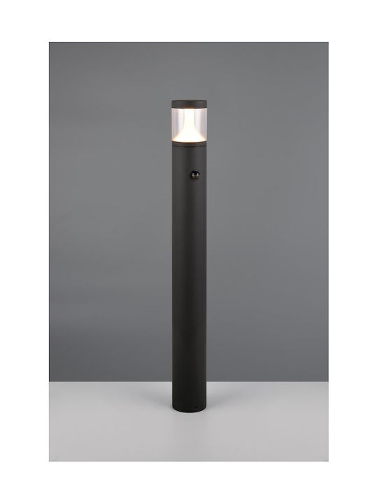 Trio Lighting Tagus Outdoor Floor Lamp LED 13W with Natural White Light