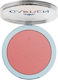 Garden Garden Rouge & Blush Rose 9g