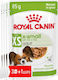 Royal Canin Wet Dog Food in Pouch with Meat 85gr