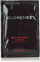 Olorchee Λάδι Μαλλιών 50ml Olorchee Λάδι Μαλλιών 50ml
