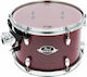 Pearl Tom 12" x 8"