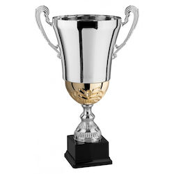 Silber Trophäen Sportpreise