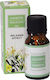 Wasserlösliches Öl Jasmin 10ml Homie Kx-501
