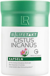 LR Cistus Incanus LR Cistus Incanus