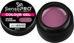 Divine Pleasure Gel UV Colorat 5ml Sensopro Milano