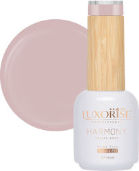 Rubber Base Hema Free Luxorise Harmony Mousse T...