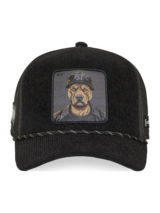 Capslab Cap Ice Bad Dog Patch-black Μαύρο Cl_hi...