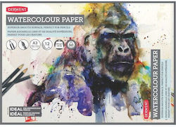 Derwent Water-based Drawing Pad Derwent Professional A3 12 Sheets 300gsm White Paper