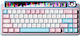 Aula AMG65 Wireless Gaming Mechanical Keyboard ...