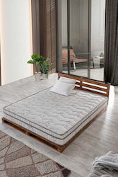 SteweHome STE018920