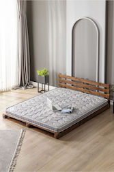 SteweHome STE017939
