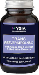 Ygia Resveratrol 98% & Grape Seed 500mg 60 φυτικές κάψουλες Ygia Resveratrol 98% & Grape Seed 500mg 60 φυτικές κάψουλες