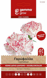 Carnation Double Bicolor Seeds Packet Gemma