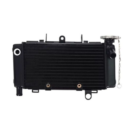 Venom Water Cooler Honda Magna 250 Jade 250 Oem