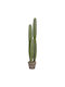 Decorative Artificial Plant Fb94744 Cactus Potted Plant F17 5x105cm