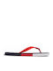 Men's Flip Flops Blue