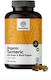 Healthy World Bio Kurkuma Gewürz 1,44g