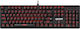 Defender Quest GK-596 Gaming Μηχανικό Πληκτρολόγιο με RGB φωτισμό (Αγγλικό US)