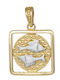 Charm Zodiac Sign Pisces Gold 9 K