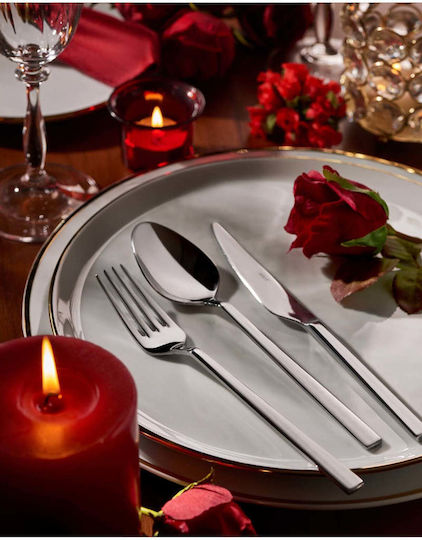 SteweHome Set De Tacâmuri Inoxidabile Argintii 12 Bucăți