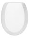 SteweHome Plastic Toilet Seat
