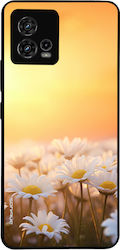 Sonique Silikon Umschlag Rückseite Gold (Moto G72)