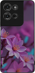 Sonique Back Cover Din Silicon Moto G75