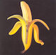 The Dandy Warhols - Welcome To The Monkey House CD Μουσικής